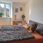 Henneberger Hof Aussicht Apartment *